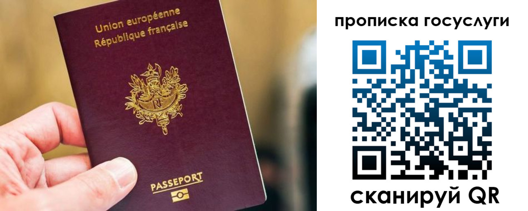временная регистрация поиск в Костромской области